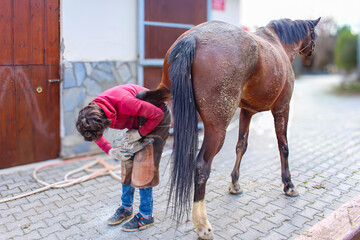 horse and rider