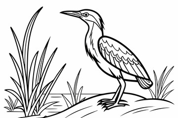 coloring page line art the bittern black vector