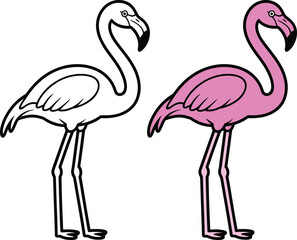 Obraz premium Double flamingo silhouette and color vector illustration
