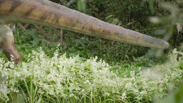 Tail of prehistoric dinosaur among dense thickets and flowering grassy weeds. Color of animal camouflaging itself to its habitat.
