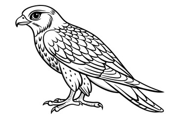 Fototapeta premium coloring page line art the kestrel black vector