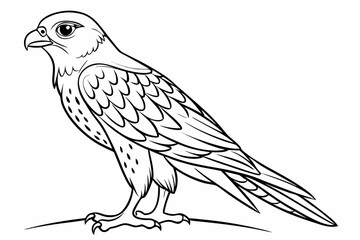 coloring page line art the kestrel black vector