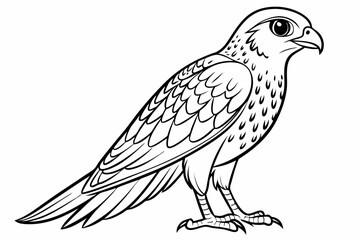 coloring page line art the kestrel black vector