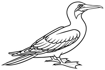 coloring page line art the gannet black vector