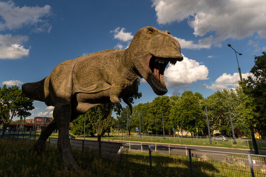 to nie zabawka , prawdziwy dinozaur t-rex