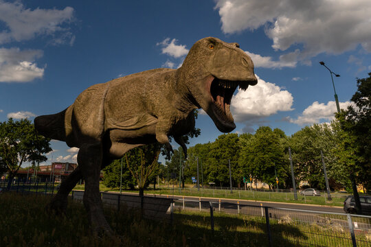 to nie zabawka , prawdziwy dinozaur t-rex