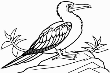 coloring page line art the booby black vector