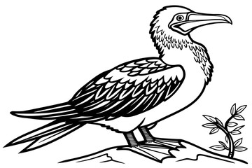 coloring page line art the booby black vector
