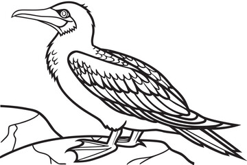 Fototapeta premium coloring page line art the booby black vector