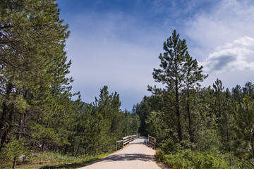 Bridge on the George S. Mickelson Trail, South Dakota