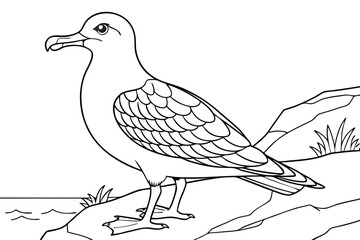 coloring page line art the shear water black vector