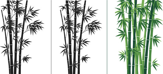 Obraz premium Bamboo plant silhouette and color set featuring stylized green stems and leafy branches, minimalist black vector icons for nature themes