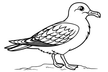 coloring page line art the shear water black vector