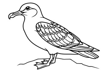 coloring page line art the shear water black vector