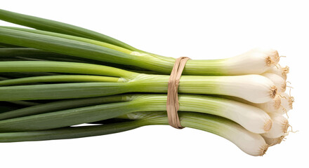 Fresh bunch of spring onions or scallions isolated on white, a vector illustration
