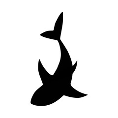 Fototapeta premium shark silhouette isolated on transparent background 