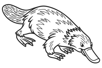 coloring page line art the platypus black vector