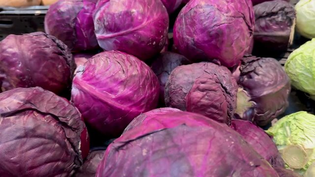 Cabbage on the counter in the store. Green and red cabbage in the store. White and red cabbage on supermarket counter fresh vegetables for customers.