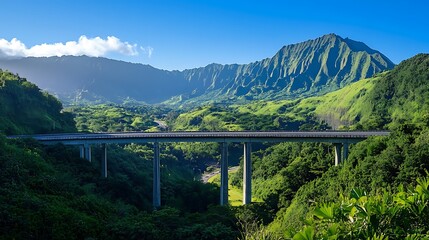 Elevated road bridge over a deep valley with lush greenery below and mountains in the background 