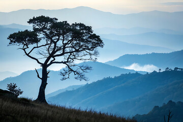 A corner of Tuyen Lam lake looks from the top of Pinhatt mountain in the dawn at Da Lat city, Vietnam