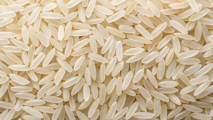 Polished long raw rice 

