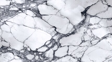 Fototapeta premium Statuario marble surface, pristine white base with bold and dramatic deep grey veining, polished high gloss finish, natural stone texture with fine details