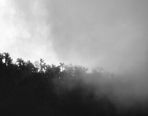 Rolling fog in the mountains