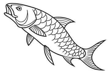 coloring page line art the tarpon fish black vector