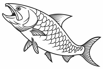 coloring page line art the tarpon fish black vector