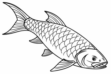 coloring page line art the tarpon fish black vector