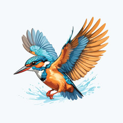 Obraz premium Kingfisher Birds Vector Design