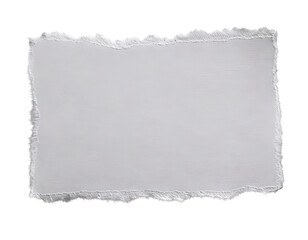 Blank light gray paper sheet with torn edges