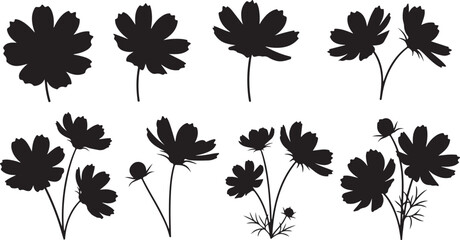 Silhouettes of Cosmos Flowers in Various Poses on a White Background floral botanical