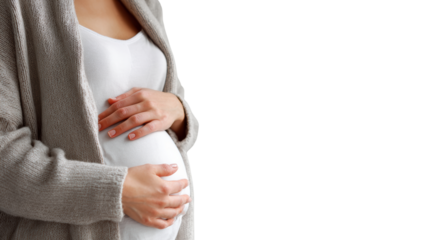 Pregnant woman gently cradling her baby bump, wearing a cozy sweater, white isolate background.