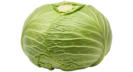 Isolated Green Cabbage with Textured Surface