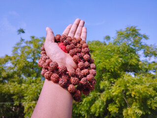 Rudraksha Mala in Hand Against a Clear Blue Sky and Green Trees