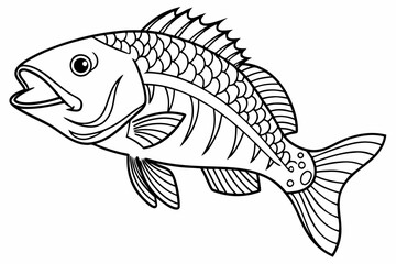 coloring page line art the snapper fish black vector