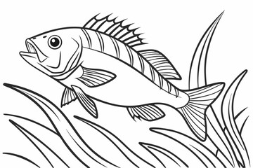 coloring page line art the snapper fish black vector