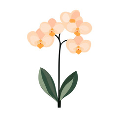 Naklejka premium Beautiful orchid blossom with soft peach petals and green leaves, symbolizing elegance and grace