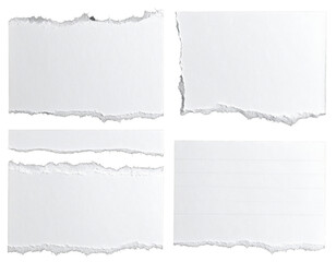Ripped white paper pieces mockup