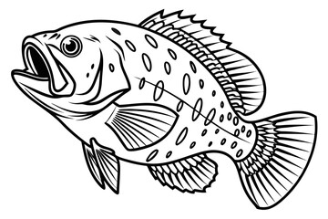 coloring page line art the crappie black vector