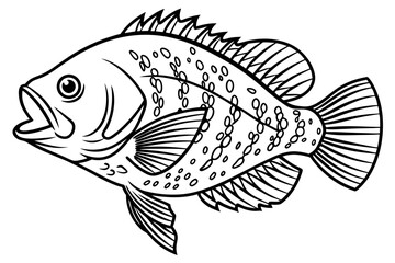 coloring page line art the crappie black vector