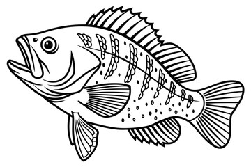 coloring page line art the crappie black vector