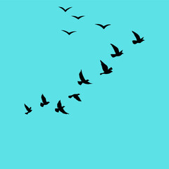 A vector set of flying bird silhouettes on a white background, capturing freedom and grace—perfect for tattoos or art.