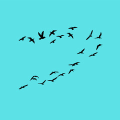 A vector set of flying bird silhouettes on a white background, capturing freedom and grace—perfect for tattoos or art.