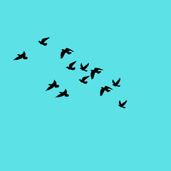 A vector set of flying bird silhouettes on a white background, capturing freedom and grace—perfect for tattoos or art.
