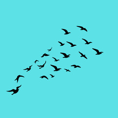 A vector set of flying bird silhouettes on a white background, capturing grace and freedom—perfect for tattoos and nature art.