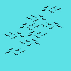 A vector set of flying bird silhouettes on a white background, capturing grace and freedom—perfect for tattoos and nature art.