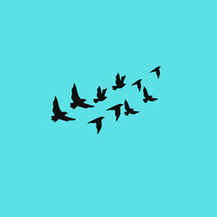 A vector set of flying bird silhouettes on a white background, capturing grace and freedom—perfect for tattoos and nature art.