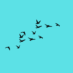 A vector set of flying bird silhouettes on a white background, capturing grace and freedom—perfect for tattoos and nature art.